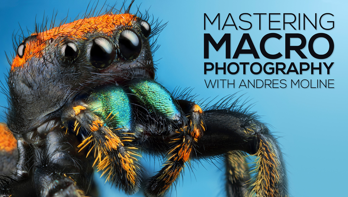 [SUPER HOT SHARE] Andres Moline – Fstoppers – Mastering Macro Photography Download