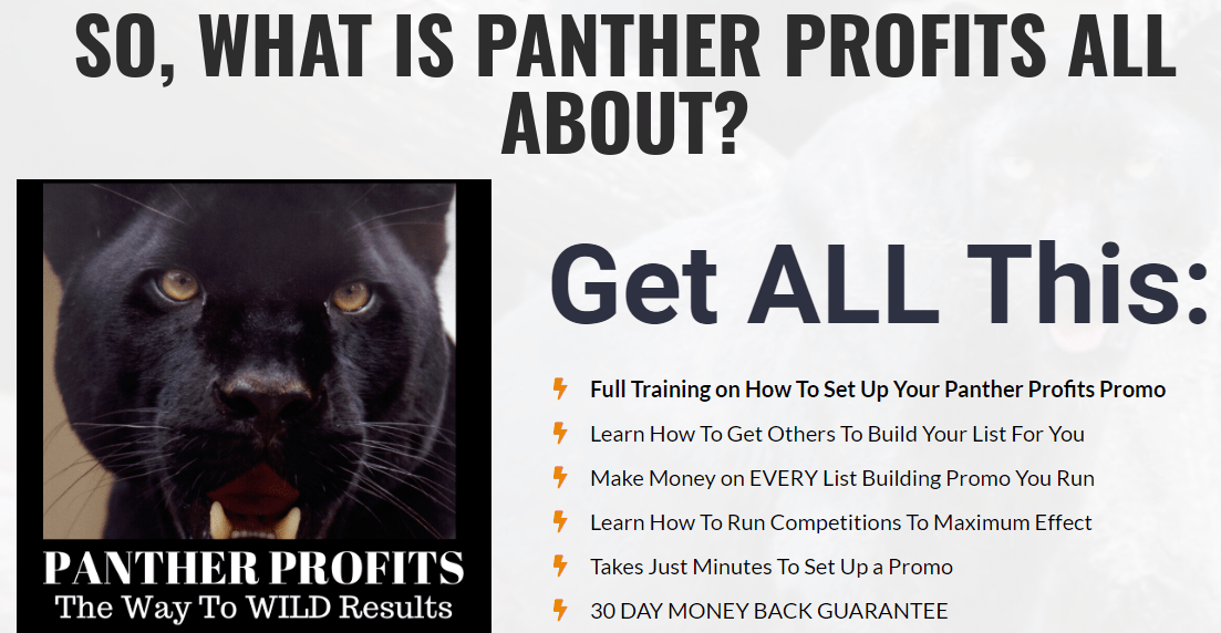 [GET] Panther Profits – Launch Date 2019-Dec-17 Download
